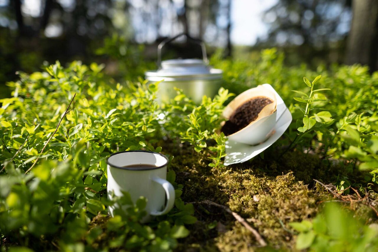 saku-and-cup-in-huckleberry-bush